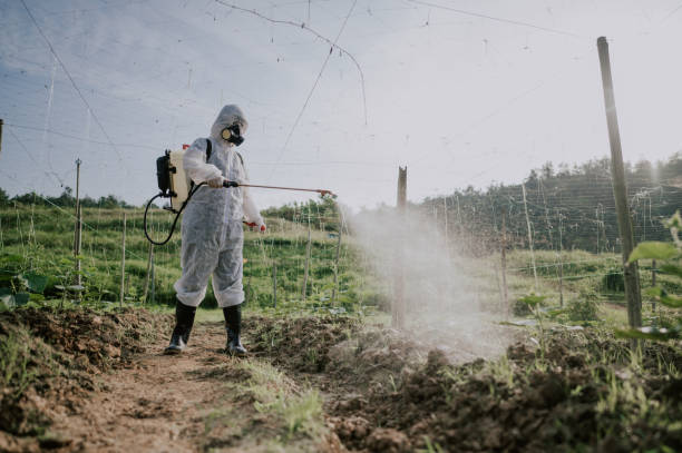Best Commercial Pest Control Services  in Douglas, GA