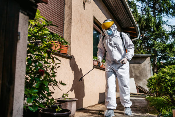 Best Pest Inspection Near Me  in Douglas, GA