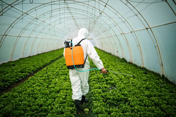 Best Commercial Pest Control Services  in Douglas, GA