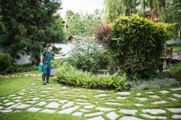 Best Affordable Pest Control Services  in Douglas, GA