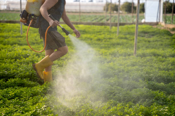Pest Control for Restaurants in Douglas, GA