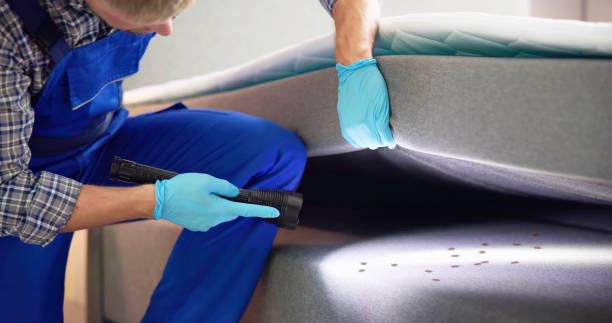 Best Local Pest Control Services  in Douglas, GA