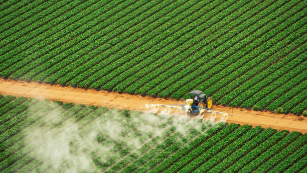 Best Termite Control Services  in Douglas, GA