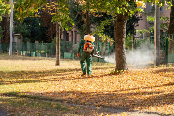 Best Pest Removal Services  in Douglas, GA