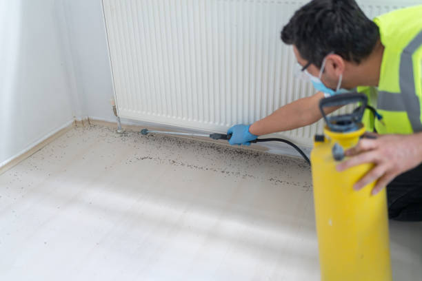 Best Emergency Pest Control  in Douglas, GA