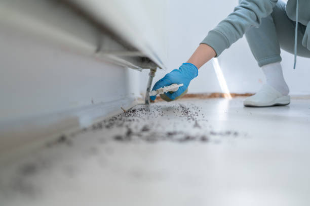 Best Bed Bug Extermination  in Douglas, GA