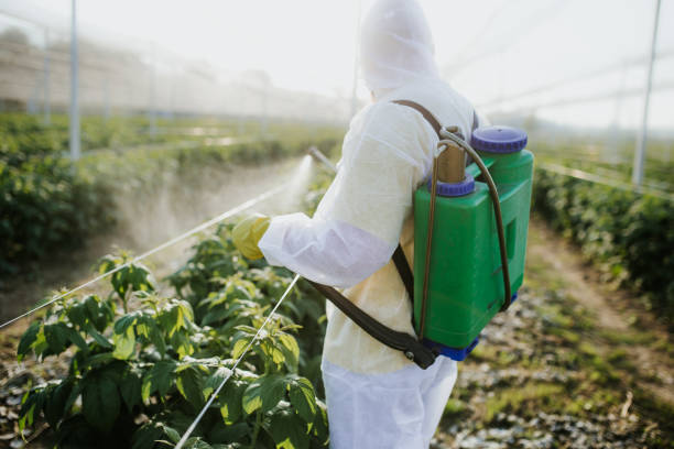Best Cockroach Control Services  in Douglas, GA